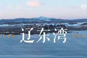 那些年，我们曾经遇见过的人和事（那些年，我们曾经遇见过的人和事）