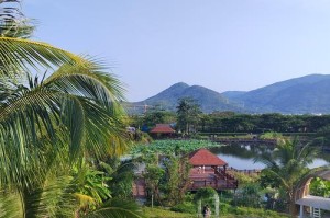 春天的小镇（小镇里春意盎然的景象）