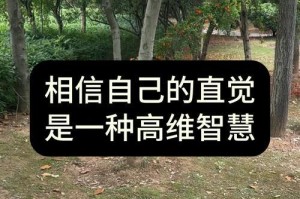一个坚信自己的少年获得成功的故事（一个坚信自己的少年获得成功的故事）