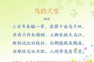 飞翔的自由（一只小鸟的成长故事）