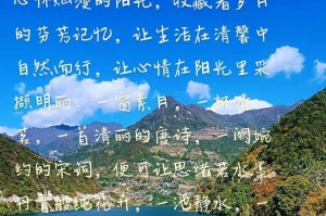 阳光下的回忆（与爷爷的夏日探险）