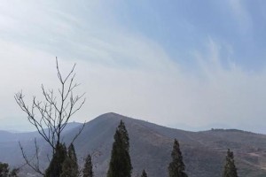 愉快的偶遇（一场意外的相遇）