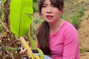 勤劳能干（用实际行动证明自己）