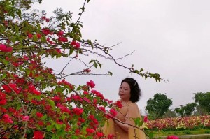 化解矛盾的智慧（把心放宽，理解别人）