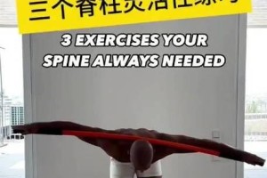 让我变得更强大——锻炼我的手臂（坚持和毅力是成功的关键）