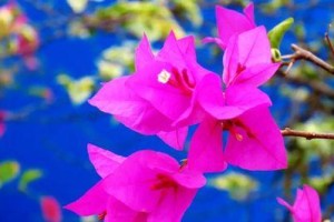 珍惜友谊，珍惜人生（一把伞，情深意长）