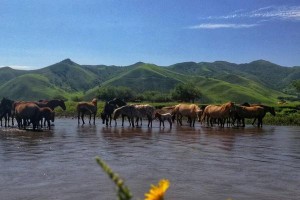 江涛人生路上的激流奋斗（以追逐梦想的勇气闯荡世界）