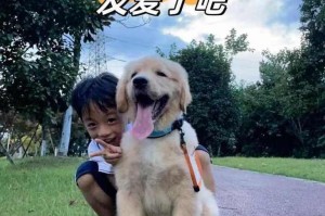 友爱的力量：三个小伙伴的故事
