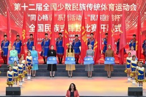 足球场上的英雄——争夺冠军的征程（跌宕起伏的比赛之路，让我们一起见证一个团队的成长）