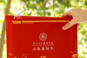 美好机会（决定改变未来的一步）
