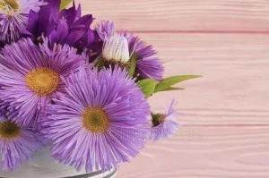 蜡烛的温暖（蜡烛的温暖）