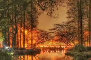 秋夜的温暖（一个陌生人的善举）