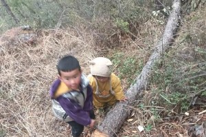 困难并不可怕（一位坚韧不拔的女孩的故事）