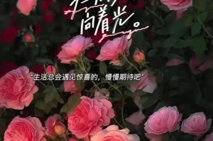 心灵的成长（以你若盛开，清风自来）