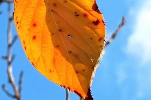 温暖在心灵深处（以世间的温暖，带来心灵的触动）