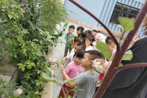 跟着爷爷学钓鱼的我（跟着爷爷学钓鱼的我）