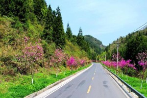 永存丝路骞马飞奔