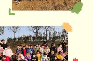 愿景与行动的力量（愿景与行动的力量）