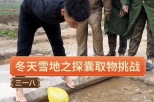 下雪的冬天（寻找温暖）