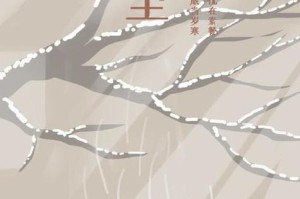雪花纷飞，寒意逼人的冬至