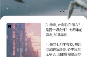 思念母亲（一个儿子的故事）