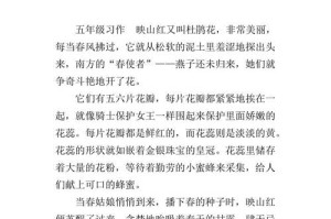 《花开得更美，人生才更精彩》（一朵紫罗兰的成长之路）