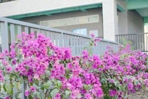 春天的醉美世界（轻轻松松拥抱阳光沐浴）