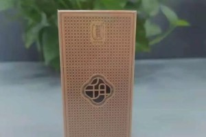 青春之夏（四个少年的成长之路）