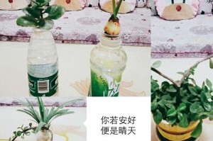 流年如诗（寻找生活中的诗意）