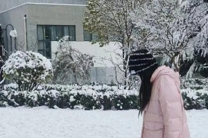 雪夜恋歌（爱与坚持）