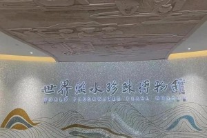 璀璨之珠（人生珍珠的故事）