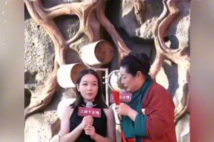 小小的勇气：一个关于小小的小故事