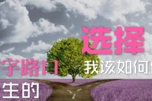 主题：选择人生路，追逐梦想路上的坎坷与收获