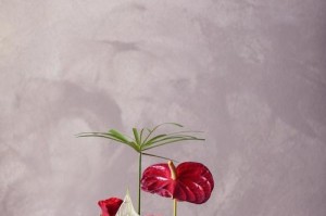 感悟生命中的点点滴滴（感悟生命中的点点滴滴）