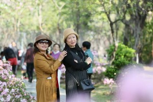 快乐的遐想——一个梦想成真的故事（通过想象力实现梦想）