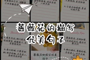 《春天的美丽风光》