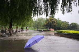 雨中情：青梅竹马的爱情故事