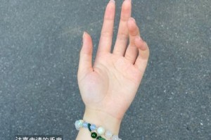 幸运之旅（一个人的不凡经历）
