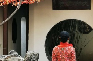 点缀人生的花瓣（寻找生命中的点滴）