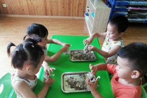 龙舟赛赢得了友谊和胜利（一场惊险刺激的龙舟赛）