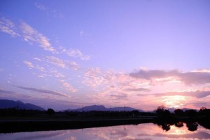 美丽的黎明（生命的奇迹）