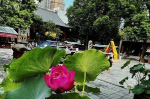 我爱秋天（走进金秋，享受美好）