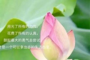 我的目标（从迷茫到找到方向）