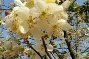 带来的是爱与勇气（带来的是爱与勇气）