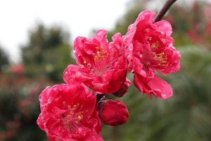 追寻春天，感受生命的活力（春天的气息无处不在，你是否发现了它？）