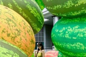 未来的大西瓜：变革人类命运的奇迹