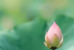 小说《寻找目标》
