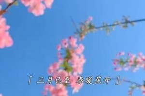 寻找春天的人（寻找春天的人）