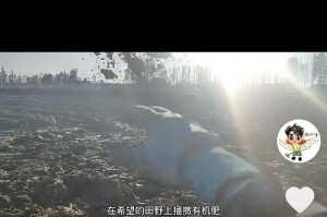 永不放弃的勇气（一个小女孩坚持追寻梦想的故事）