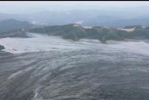 一个小岛的沉沦（一个小岛的沉沦）